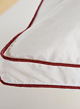 外贸白绒羽枕绒芯保健护颈DNE星级酒五店品质鹅单人羽绒枕芯厂家