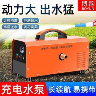 博韵充水泵12V小型电动水ILG机浇吸水淋菜抽农用灌溉户电外自泵洗