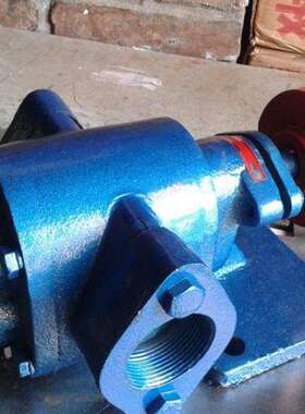 Y电B型系列渣油泵豆送渣泵热豆浆输抽油泵动高温NXC齿轮泵厂Z家货