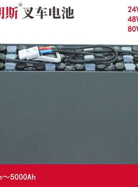 BT托盘搬运车LT-2200用蓄电池组3PZS210 24V BT装卸叉车电池210Ah
