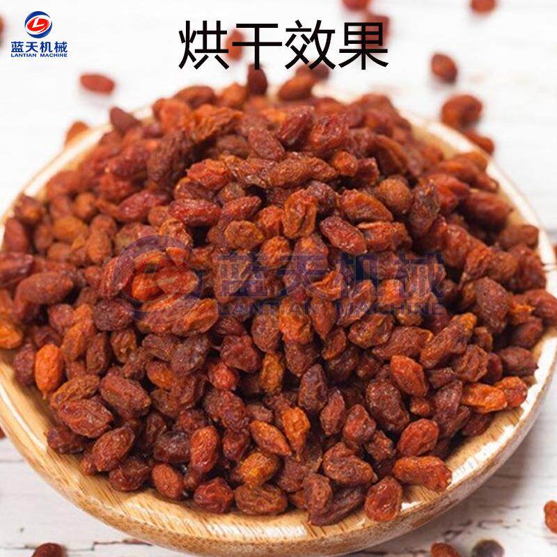 沙棘果烘干机 刺空气能黑醋柳果水烘设备 LRP干酸刺脱药材烘干烘