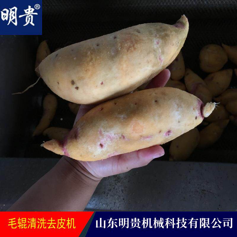 鲜土毛辊洗清去皮机 红自薯动脱皮机器 根HGK茎类豆毛刷磨皮设备