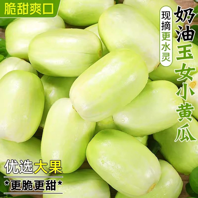 黄瓜新鲜玉女黄瓜水果小黄瓜白玉黄瓜小拇指青瓜现摘生吃蔬菜