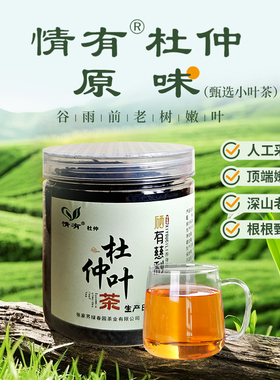 情有杜仲茶张家界慈利一级老树嫩叶富硒绿原酸原叶养生茶雨前新茶