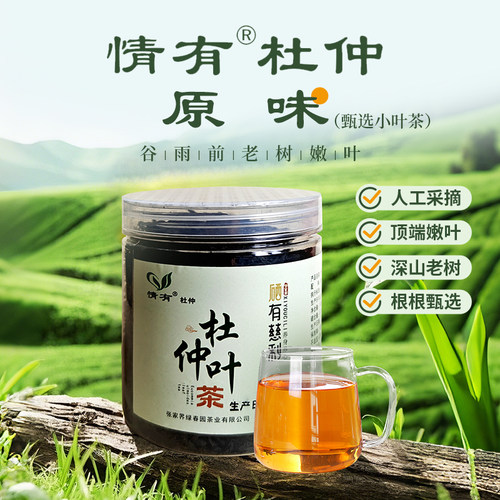 情有杜仲茶张家界慈利一级老树嫩叶富硒绿原酸原叶养生茶雨前新茶