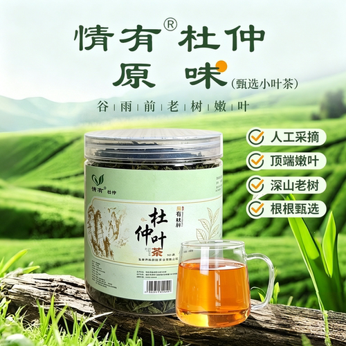 情有杜仲茶张家界慈利一级老树嫩叶富硒绿原酸原叶养生茶雨前新茶