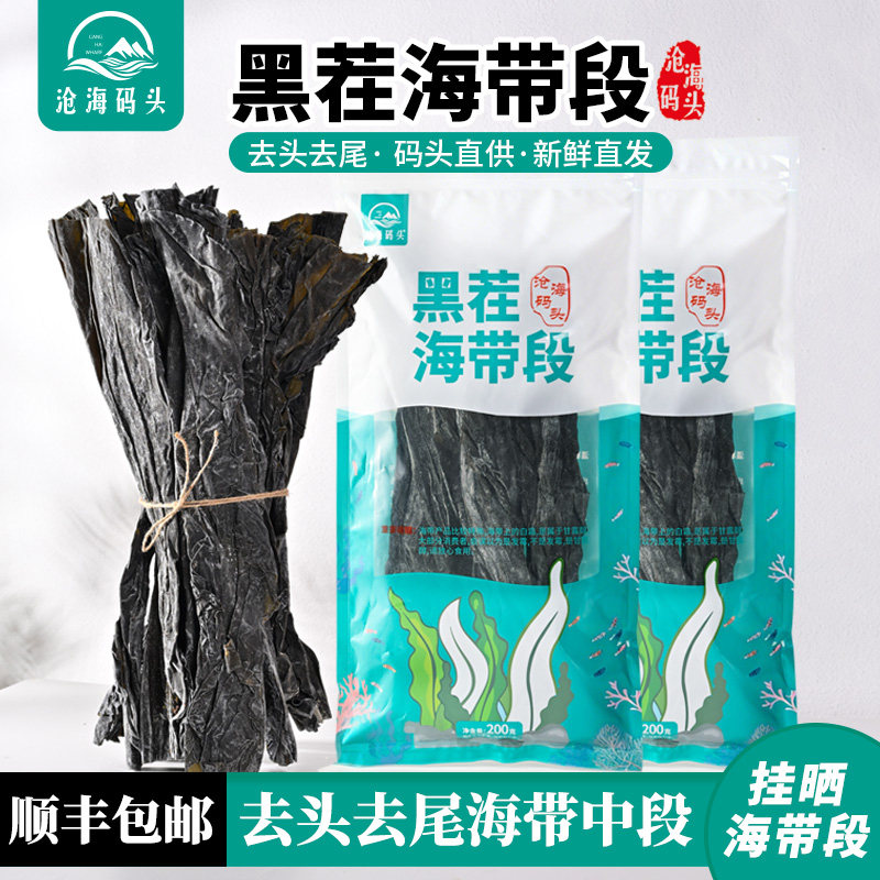 沧海码头黑茬海带中段
