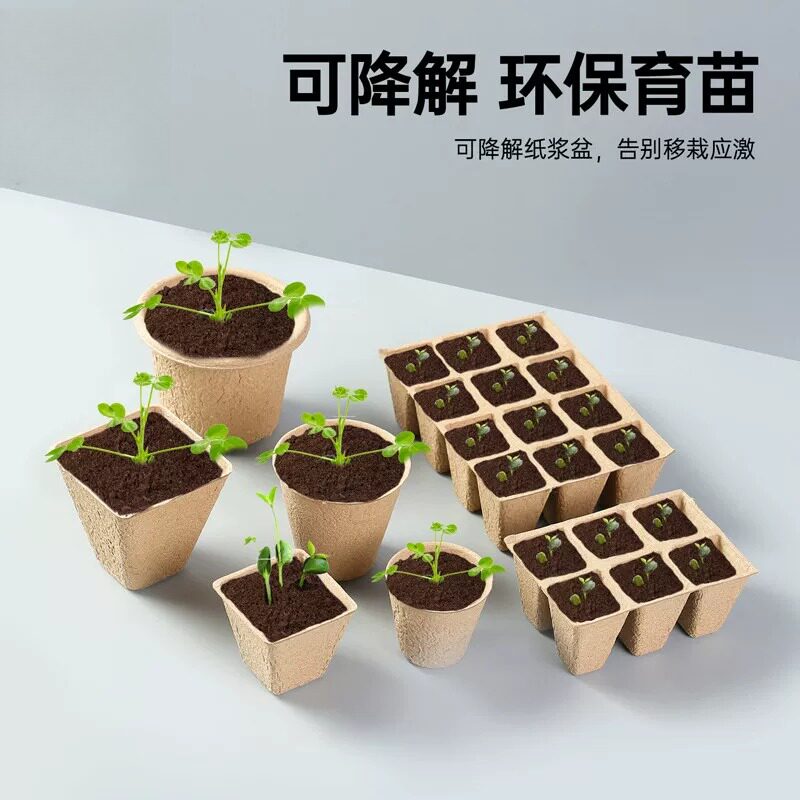 纸浆育苗杯一次性可降解育苗盘培育盆纸质营养钵育种盘种植杯批发
