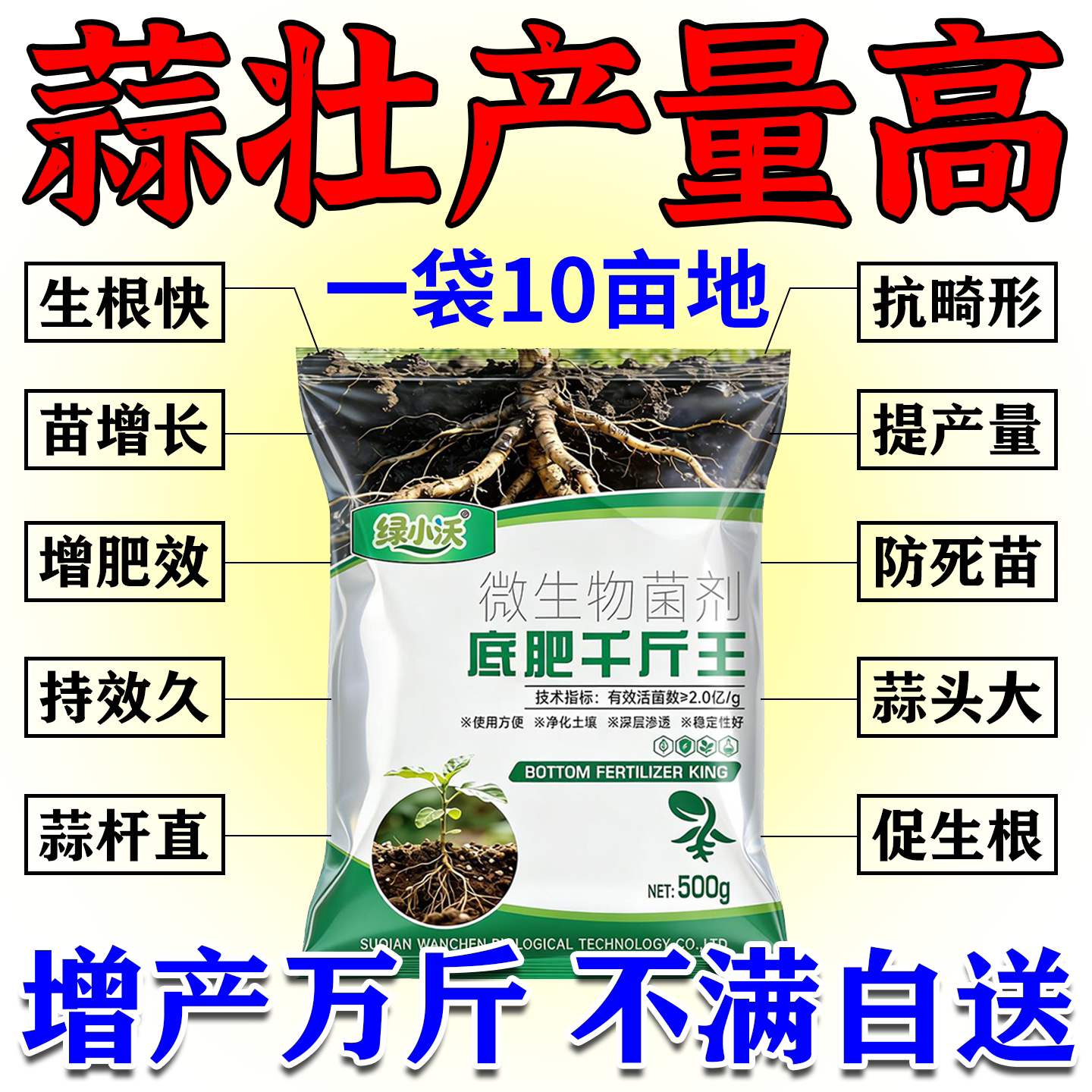 大蒜底肥宝增产万斤不满白送