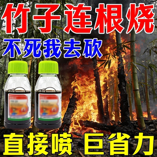 竹子连根烂杀打竹专用剂根杂草快速干枯连根清开荒老牌渗透剂介质