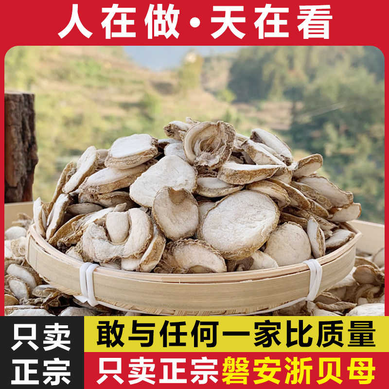 磐安浙贝母中药材贝母浙贝浙贝片浙贝粉象贝大贝土贝非野生250g克