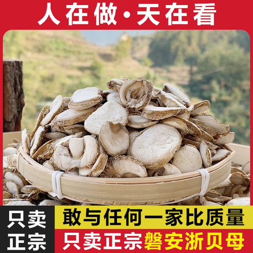 磐安浙贝母中药材贝母浙贝浙贝片浙贝粉象贝大贝土贝非野生250g克