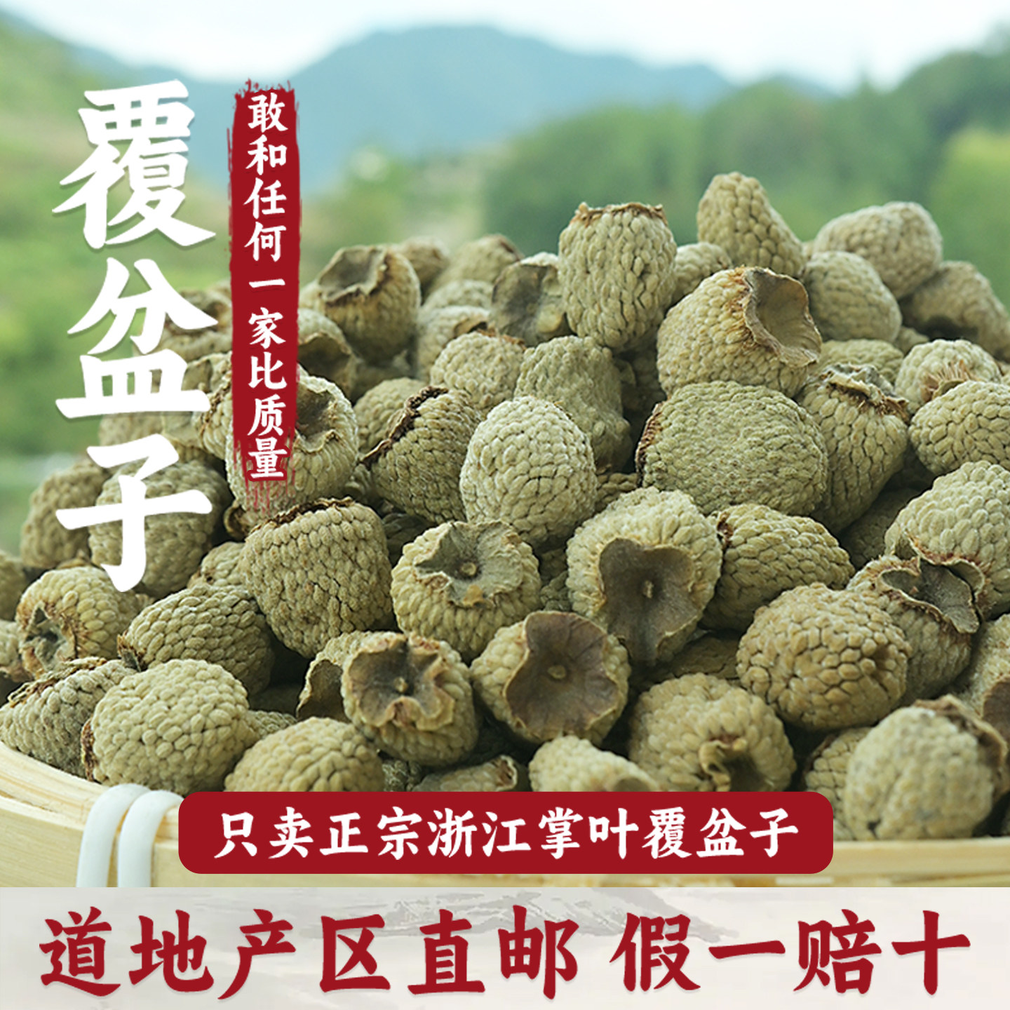 高山采摘的覆盆子中药材正品浙江掌叶覆盆子500g泡水茶野生复盆子