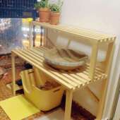 实木猫爬架猫窝DON体花阳架猫砂盆置架多层宠物用品收纳台阶物一