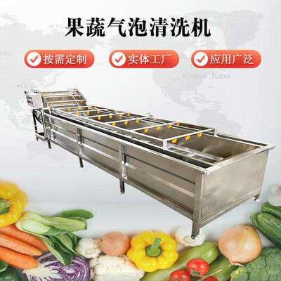 豆气芽泡清洗机HVC高压淋蓝莓清洗设备菜气喷泡翻浪清洗机蔬全自