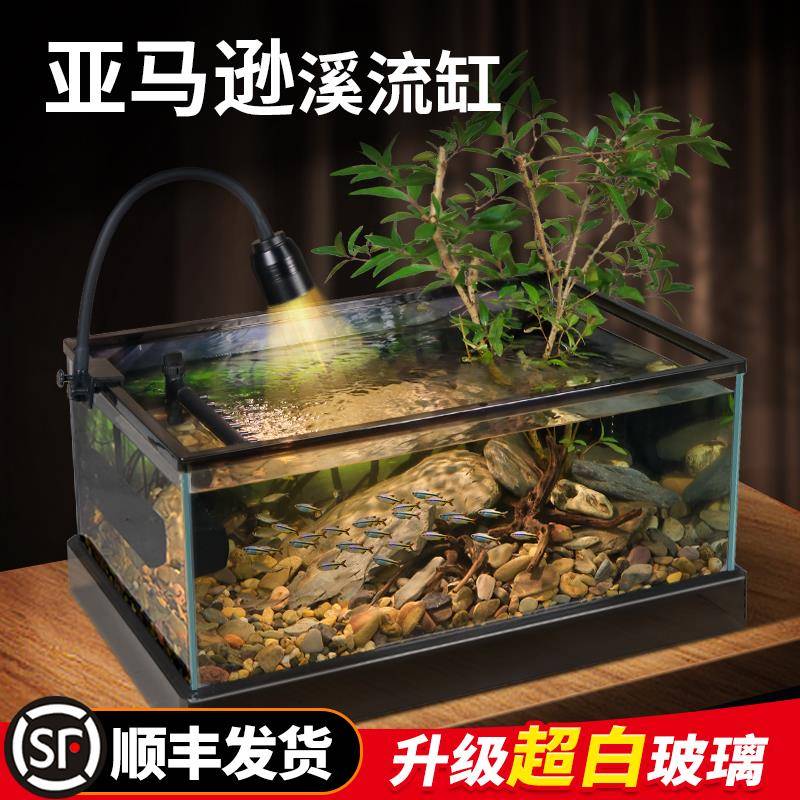 F775H55MBQ桌面玻璃鱼6缸南美背景溪流造景部底排水鱼龟V共养生态