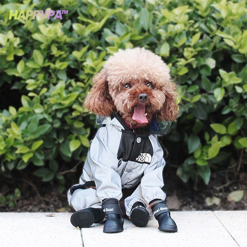 小狗狗雨衣四脚加厚防水全包泰迪宠物衣服小型中型U犬比熊冬季雨