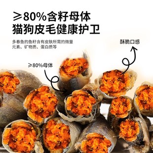 冻干多春鱼成幼猫咪n狗狗零食小鱼干满籽零食宠物粮营养发腮长肉
