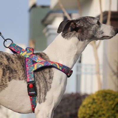 狗狗牵引绳中型犬马鞍p狗胸背柯基柴犬防挣脱背心式外出专用遛狗