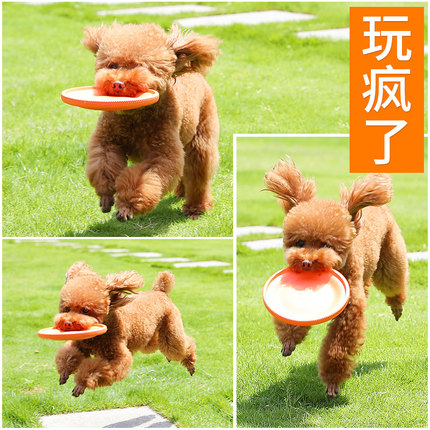 狗狗飞盘玩具耐h咬柯基边牧金毛小大型犬解闷互动神器宠物训练飞