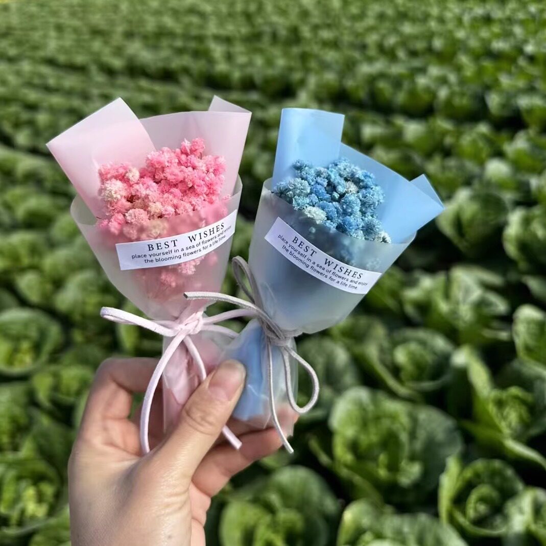 迷你永生花满天星情人节礼盒