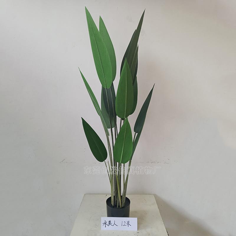 仿真热带植CF0196旅物望兰人造大型塑美料树人蕉室内花艺摆放枯树