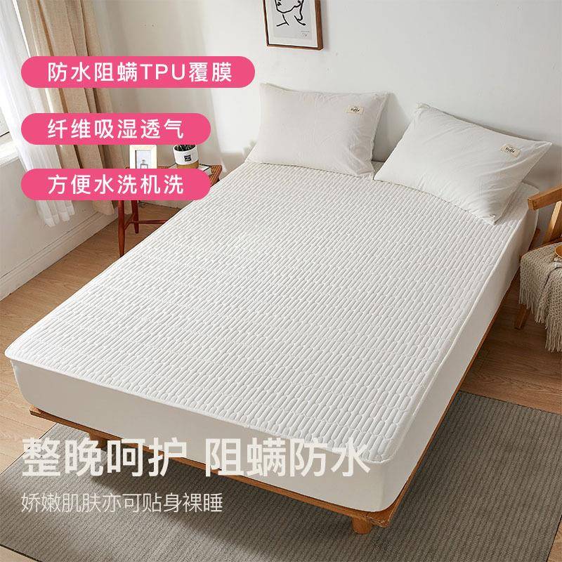 防水0隔尿全包床笠罩件2LXJU-CL25年新单款床罩垫席梦思床套保护