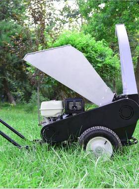 大型油疫木木材碎机粉卧式干湿两用树枝粉碎机苗圃果枝碎54581F枝