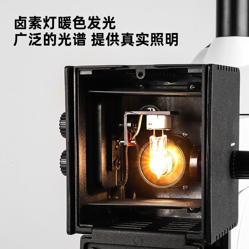 卤素灯泡6V20W,6V30W,12V20W30W50W卤素灯生物金相显微镜专用配件