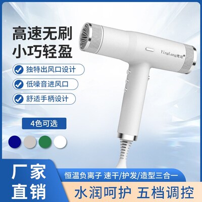 高速吹风机理发店发廊专用大功率家用负离子护发无刷风叶电吹风筒
