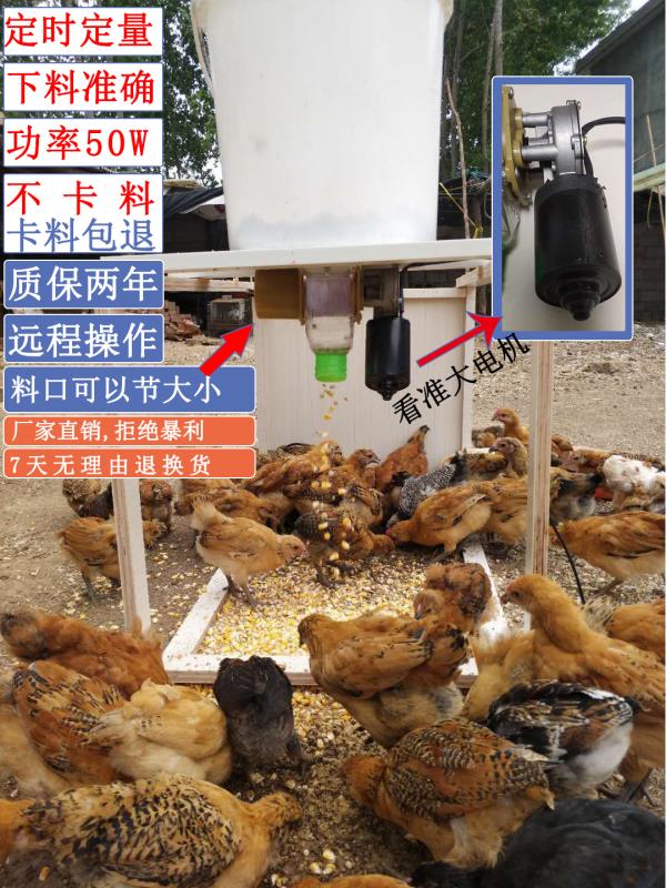 鸡鸭鹅全自动喂料机定时定量鸡鸭鹅用品安装简单鸡鸭鸽子喂食器