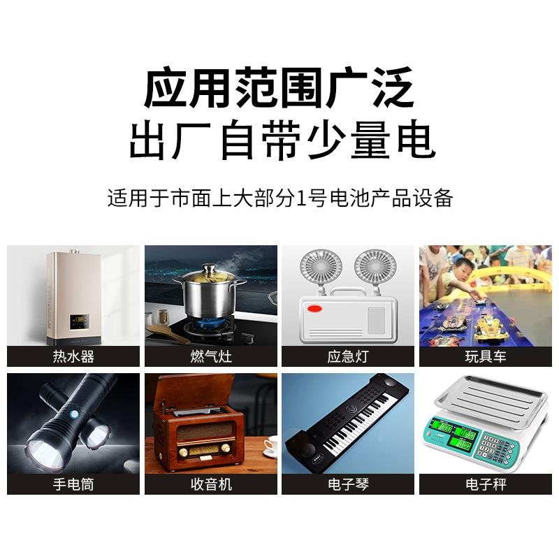 1号充电电池充电器套装1.2V大容量D型正品瓦斯炉热水器专用家庭商