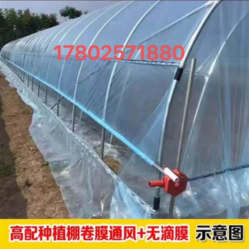 蔬菜种植大棚养殖大棚全套养鸡鹅猪牛羊养殖专用温室大棚大棚骨架