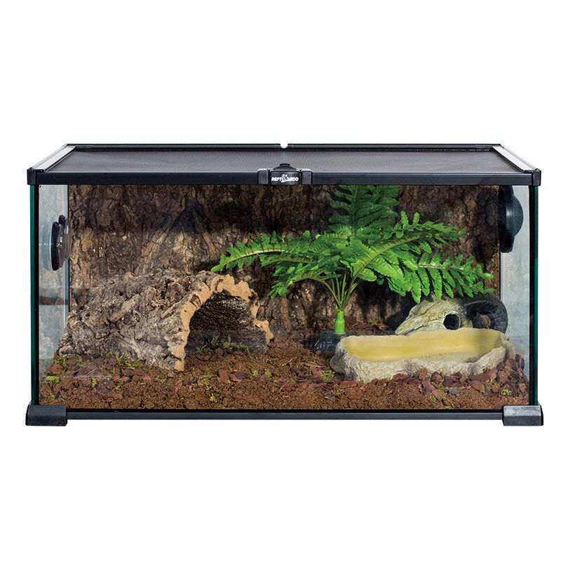 Reptizoo瑞皮爬缸爬宠饲养箱守宫睫角蜘蛛蝎子角蛙造景玻璃缸套装