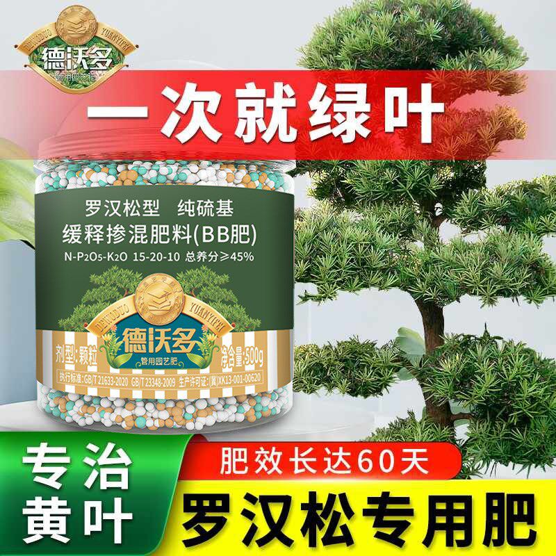 罗汉松专用肥缓释肥泰山松肥氮磷钾有机肥雀舌松树营养液盆景肥料