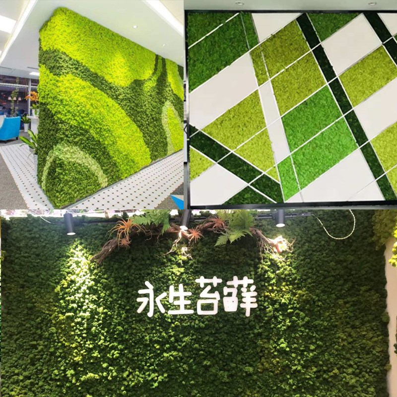 仿真苔藓植物背景墙室内景观绿植苔藓墙面装饰假青藓挂壁景观造景