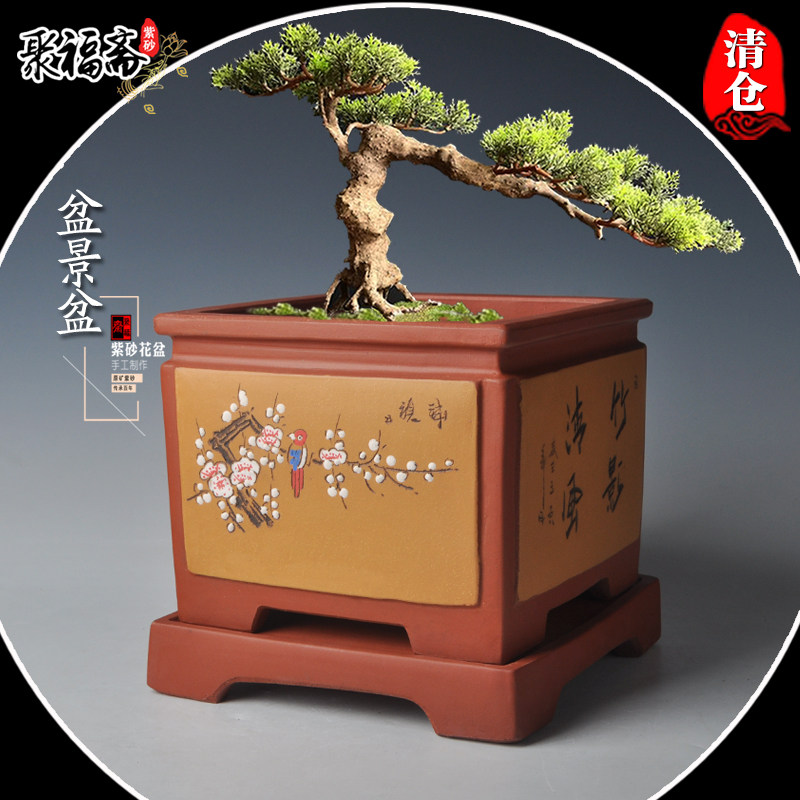 宜兴紫砂花盆 君子兰小叶紫檀盆景盆四方带托盘高档花盆特价清仓