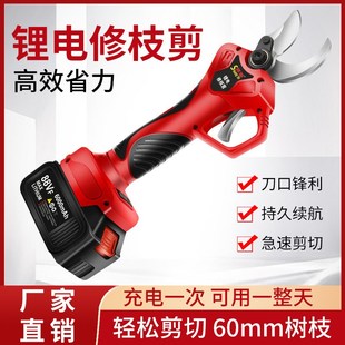 家用园林剪刀修枝高枝粗枝剪工 锂电修枝剪手持电l剪果树剪充电式