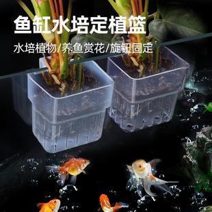 25年新款 水草植物架造景蓝 透明鱼缸水培植物篮水族箱高透壁挂式