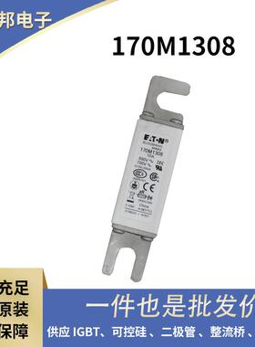 170M8640170M8641170M8642170M8645原装直流熔断器保险丝