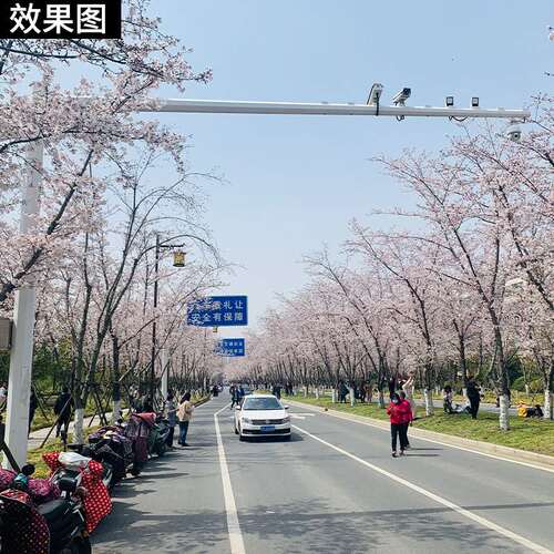 LED人行红绿指示灯 高速公路L型交通指示灯 路口交通信号灯