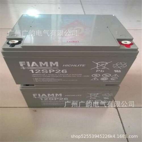 非凡蓄电池12SP100 意大利非凡蓄电池12v100ah铅酸蓄电池含税报价
