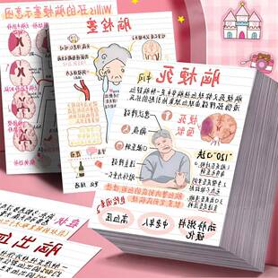 高清加大】24张脑部疾病知识心血管系统脑部供血不足医学笔记贴纸