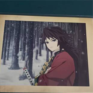 日谷拍立得 鬼灭之刃 蝴蝶忍金签拍立得 富冈义勇雪地拍立得 包邮