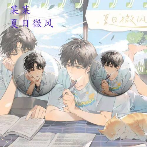 某某江添盛望夏日微风吧唧亚克力立牌高颜值背包挂件桌面摆件
