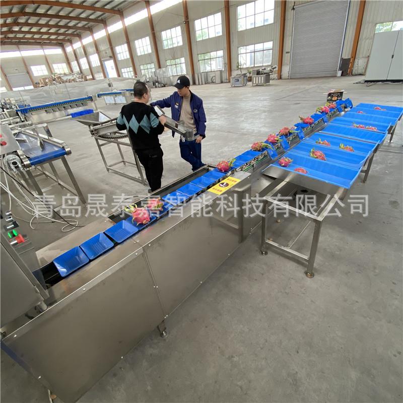 荸荠自动称重分级选果机自动沃柑多级重量分选机丑橘分拣机设备