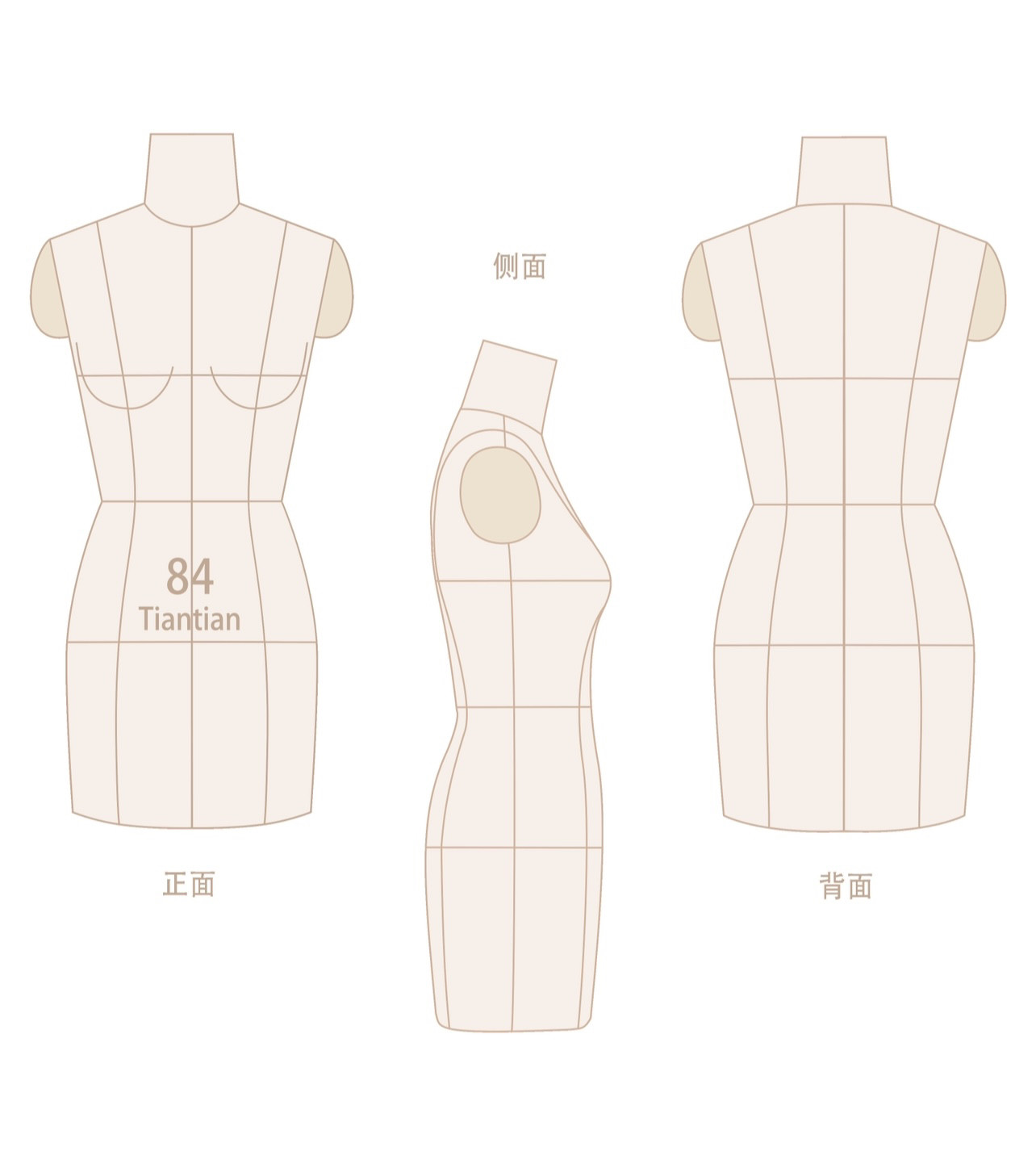 服装设计人台/模特效果图款式图必备绘画素材png文件无底正侧背