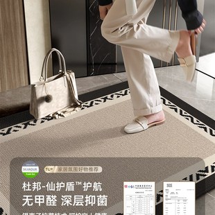 2025新款门垫入户脚垫门口耐脏可擦洗入户N门地垫进门入门高级地