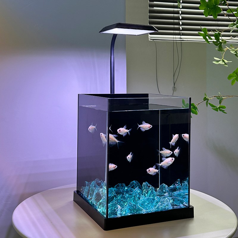 鱼缸客厅2025新m款小型家用办公室斗鱼带底座一体玻璃缸桌面生态