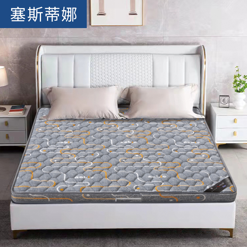 环保椰棕床垫g偏硬护脊天然无胶无甲醛宿舍民宿宾馆软硬适中可定